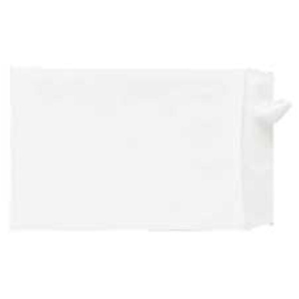 Workstationpro Products Tyvek Open-End Envelope- Plain- 10in.x13in.x1-.50in.- 100-CT- White TH1620590